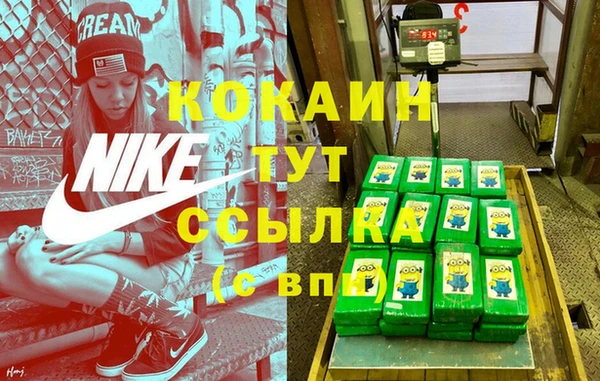 стаф Пересвет