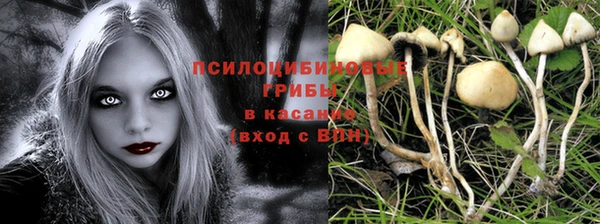 COCAINE Пестово