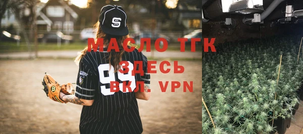 стаф Пересвет