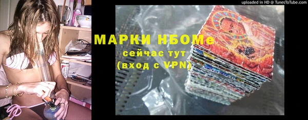 стаф Пересвет