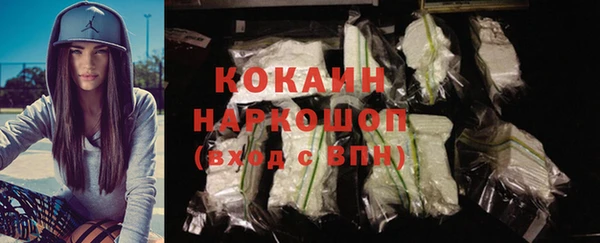 стаф Пересвет